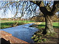 The river Nailbourne, Garrington. in CT3 1XE