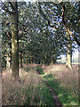 Path through the woods between two fields in ST19 9QX