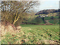 Across the valley to Steel House Farm in ST13 8PQ