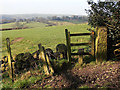 Stile near Lyme House in ST9 9QP