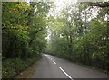 A396 past Welland Copse in TA22 9BG