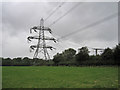Large pylon by the footpath in EX13 5UN