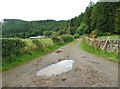 The track to Glenyerrock in DG7 1QQ