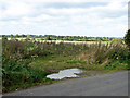 Fields west of Wymondham Road in NR16 1BJ