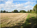 Footpath along a field's edge in NR15 1RT