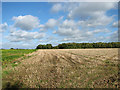 Stubble field by Flordon Hall in NR15 1RT