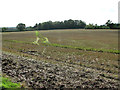 Harvested field by Flordon Hall in NR15 1RT