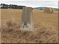 Triangulation Pillar S7220 Burnside in AB55 6TY