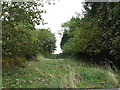 View through tree line to High Wood in Handcross & Pease Pottage Ward