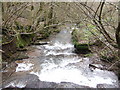 Pwll-y-wrach looking downstream in LD3 0EF