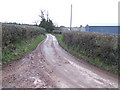 Lane approaching Whitelow Farm in LD3 0EY