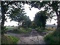 Track junction on Hoford Road near Mill House Farm in RM16 4NS