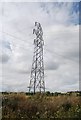 Pylon by Canewdon Rd in SS4 3DU