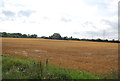 Stubble field, Canewdon Rd in SS4 3DU
