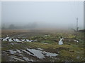 Muddy farmland in the mist, Fair Moor in NE61 3JL