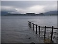 Inchcailloch from the southern shore, Loch Lomond in G83 8NJ
