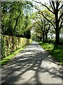Looking east along Basingdene, outside Coles, towards Alexanders Lane in Froxfield and Privett