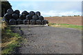 Silage bales in a field in Devauden Community