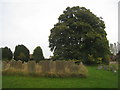 The churchyard, Kirkburn in YO25 9DU