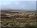 Moorland towards Ravenscleugh in Elsdon
