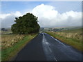 Minor road towards Elsdon in NE19 1BJ