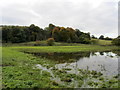 Submerged Footpath leading off the A65 in LS29 8BD