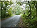 Bridge on Ingram's Green lane in GU29 0LJ