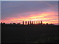 Sunset near Clarborough in Clarborough and Welham