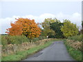 Autumn colours near Aspley Guise in MK17 8UT