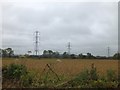 Pylons and maize field in EX15 1QN