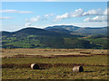 Bracken bales on Heughscar Hill in CA10 2LT
