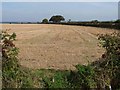 Harvested field near Stone Farm in LN8 3UX