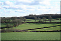 Romansleigh: towards Little Meshaw Moor in EX36 4NW