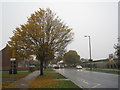 Chelmsford Avenue on a grey day in DN34 5LA