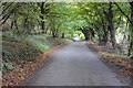 Country road near Pen-y-Cae-Mawr in NP16 6FE