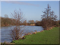 The Thames east of Reading in RG6 1WA