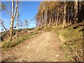 Track up to Dun na Cuaiche in PA32 8XG