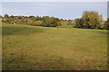 Farmland near Twyn-y-Sheriff in Raglan Community