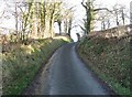 The Road To Llangyniew in SY21 0JS