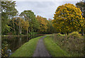 The Bridgewater Canal by Big Wood in WA7 1UT