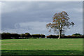 Pasture near Ravensmoor, Cheshire in Baddiley