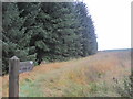 Footpath towards Robin Rock, Kielder Forest in NE47 7AP