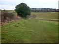 Track to Huskit Hill near Terrington in YO60 6PN