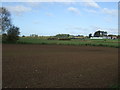 Farmland near Mill Farm in B79 0AX