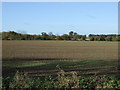 Farmland off Rosliston Road in DE15 9TX