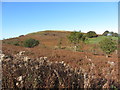 View over Rudry Common towards Mynydd Rudry in CF83 3EF