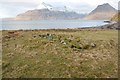 Hut circle at Claddach a' Ghlinne in IV49 9BL
