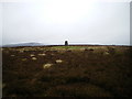 Trig S3108 on Eclusham Mountain in LL11 3DR