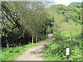 Footpath and footbridge over the River Dibbin in CH63 9JZ