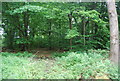 Woodland by The North Downs Way in GU5 9QA